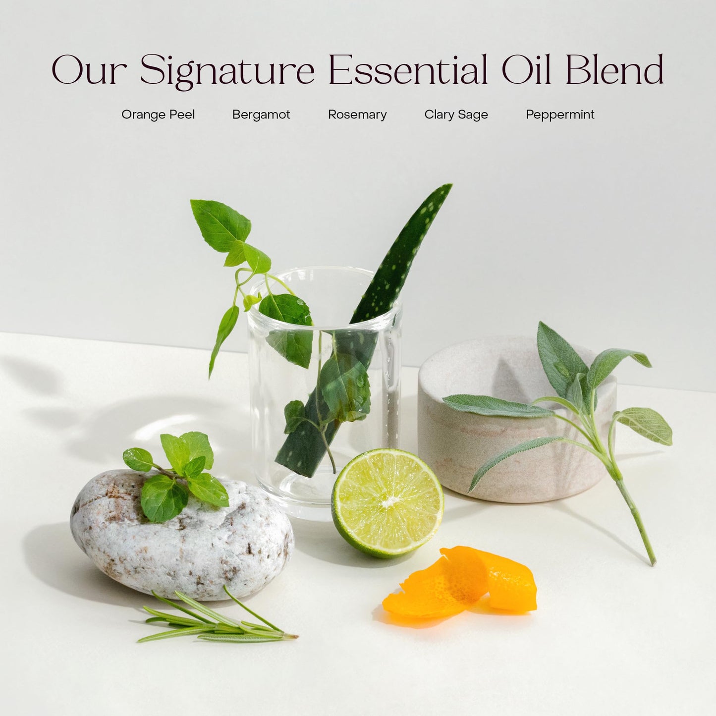 Everist The Hydrating Body Duo Bundle Tin, The Body Wash Concentrate Tin 3.4 fl oz, The Compostable Konjac Sponge