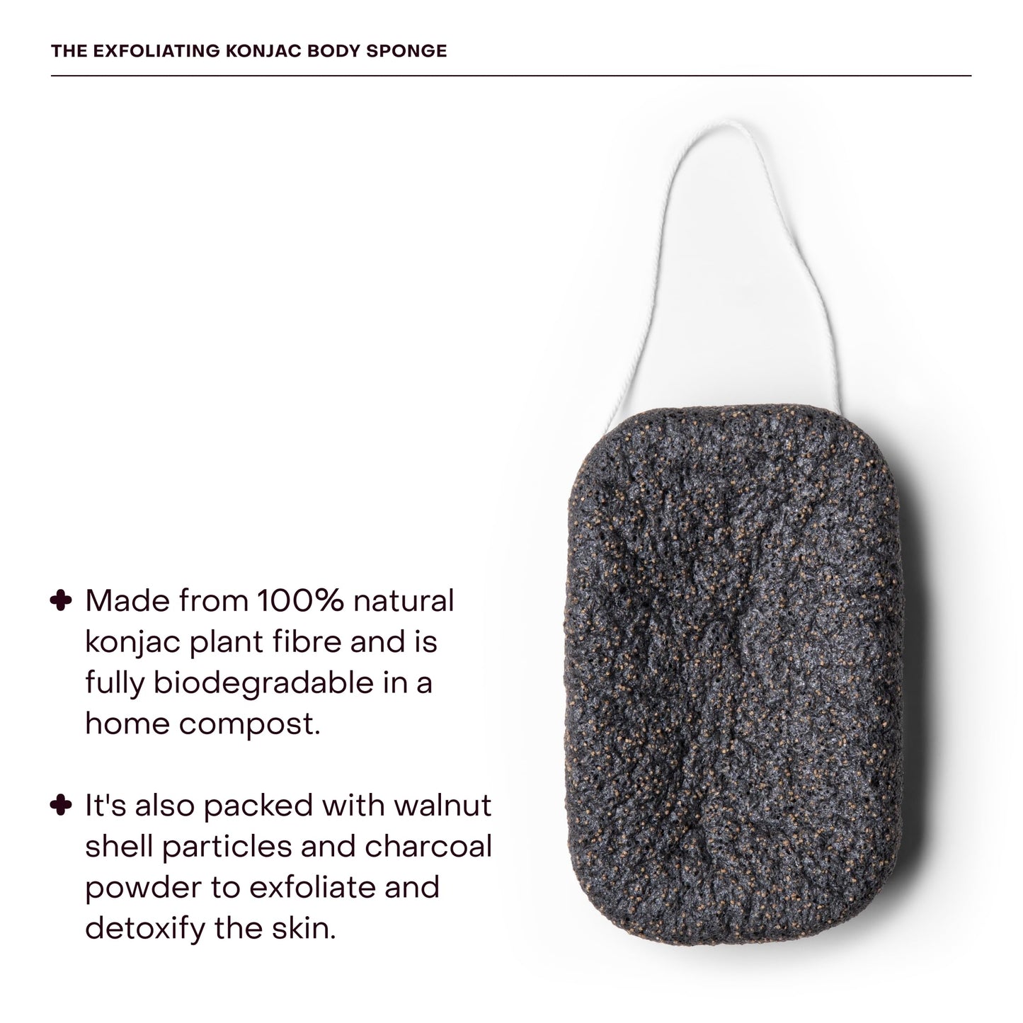 Everist The Exfoliating Konjac Body Sponge, Natural, Reusable, Compostable Bath Sponge for Sensitive Skin, Charcoal Cleansing, 60+ Uses, 1 Each